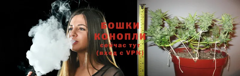 Конопля Ganja  цены   Костерёво 